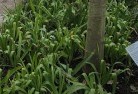 Karcultabyplant-nursery-23.jpg; ?>