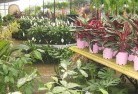 Karcultabyplant-nursery-7.jpg; ?>